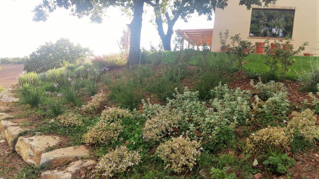 Agriturismo Sugheretello Semproniano Eksteriør billede