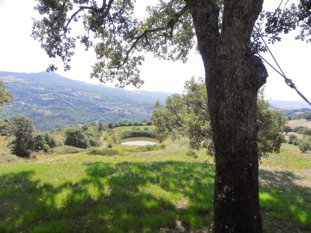 Agriturismo Sugheretello Semproniano Eksteriør billede