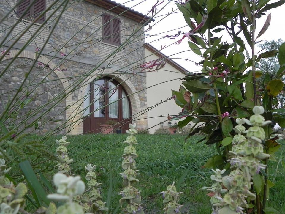 Agriturismo Sugheretello Semproniano Eksteriør billede