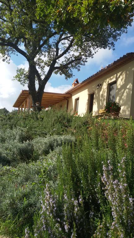 Agriturismo Sugheretello Semproniano Eksteriør billede